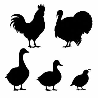 AI-Silhouettes—800px