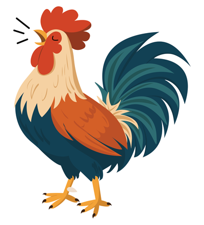 Rooster